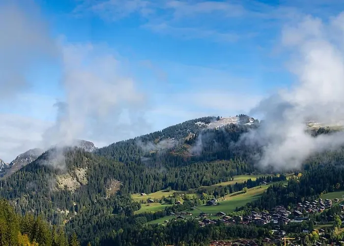 Chalet 1100 - Bo Immobilier - à Mi-chemin Du Centre Et Du Linga -reduced Prices On Passes Châtel&portes Du Soleil Châtel